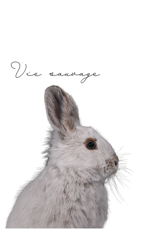 Paquet de quatre cartes de voeux