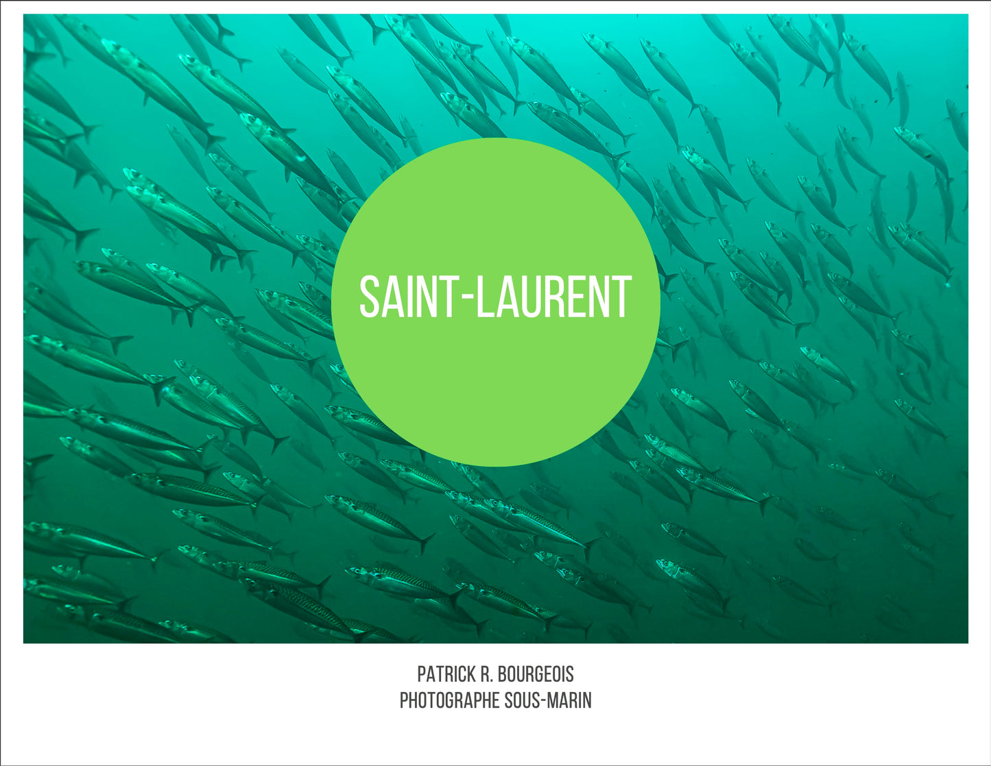 Livre numérique sur le Saint-Laurent marin