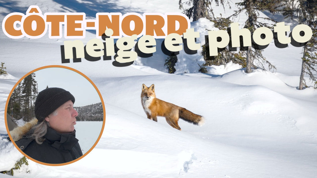 Camping hivernal sur la Côte-Nord