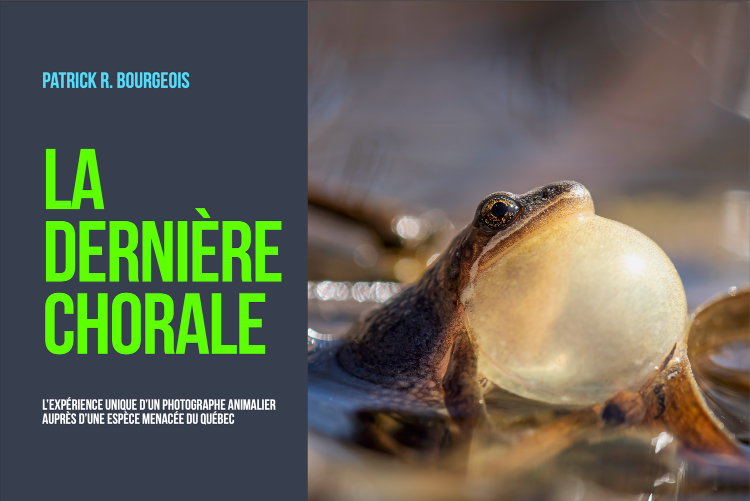 Livres électroniques