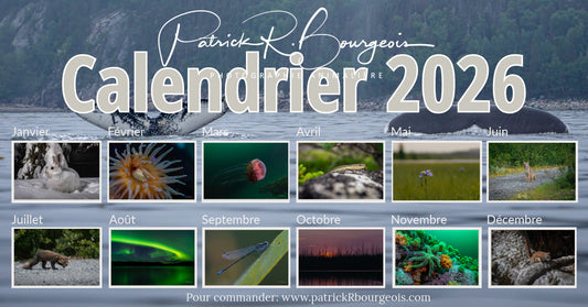 Calendrier 2026 + recueil Québec profond