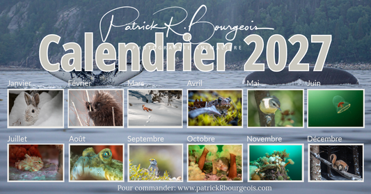 Calendrier 2027