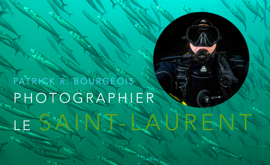 Conférence sur le Saint-Laurent marin