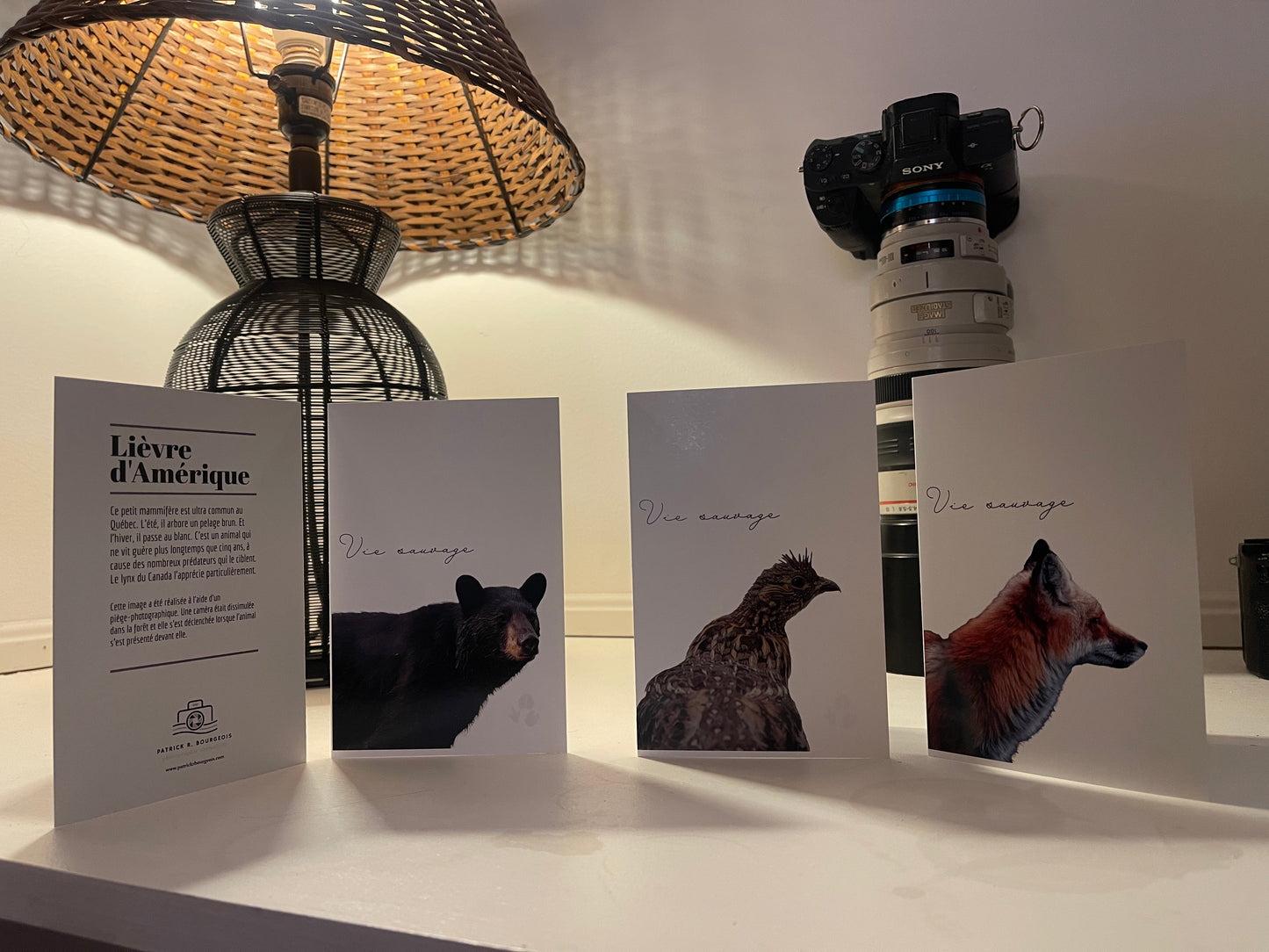 Paquet de quatre cartes de voeux