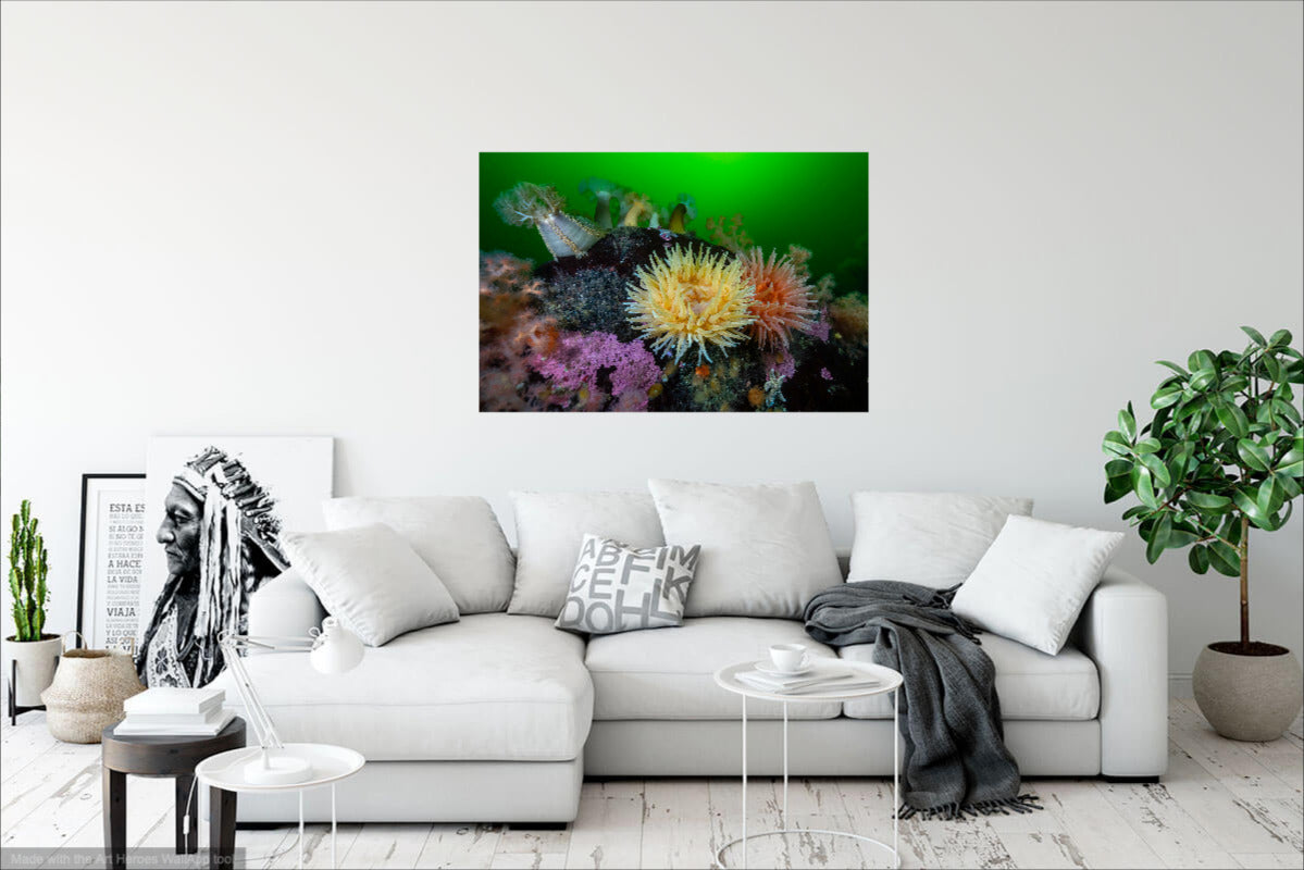 Promotion sur toutes mes photos!